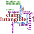 Wordle of intangible asset